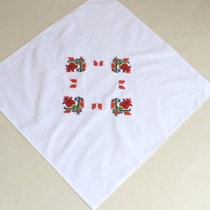ВИЗИТКАТА НА НИКОЛ С ШЕВИЦА